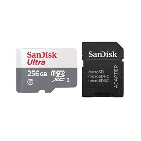 MICROSDXC 256GB CL10 SDSQUNR-256G-GN6TA