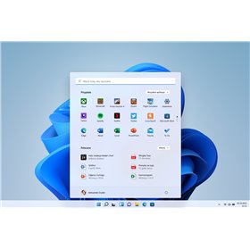 WIN 11 HOME FPP P2 32-bit/64-bit Eng US