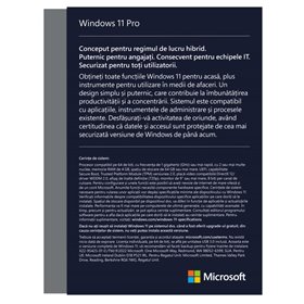 Win 11 Pro FPP P2 32-bit/64-bit Eng USB