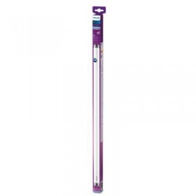 LED T8 1500MM 20W G13 CDL ND 1CT/4