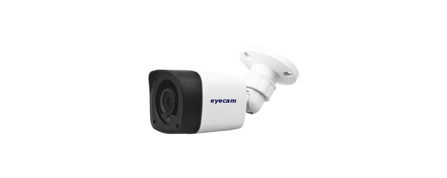 Camere analogice Eyecam